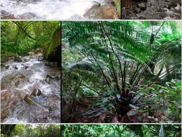 RANCHO EN VENTA EN HUACHINANGO PUEBLA