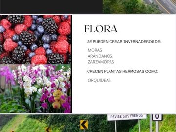 RANCHO EN VENTA EN HUACHINANGO PUEBLA