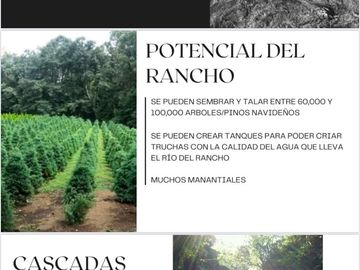 RANCHO EN VENTA EN HUACHINANGO PUEBLA