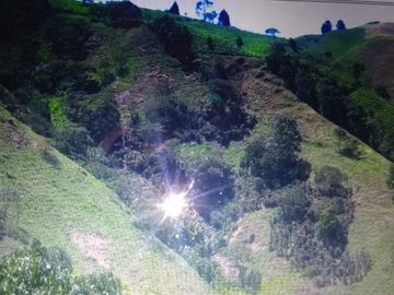 finca en venta en alto de las flores. Cod V14034