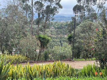 Venta terreno