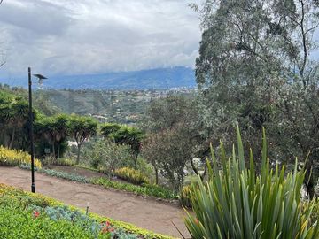 Venta terreno