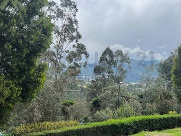 Venta terreno