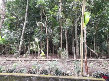 Rumah Minimalis Modern Berlokasi Sejuk dekat Taman Seloijayan