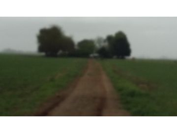 VENDO O PERMUTO 40 HECTAREAS DE CAMPO UNICAS EN BALCARCE