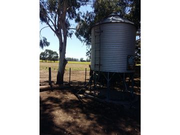 VENDO O PERMUTO 40 HECTAREAS DE CAMPO UNICAS EN BALCARCE