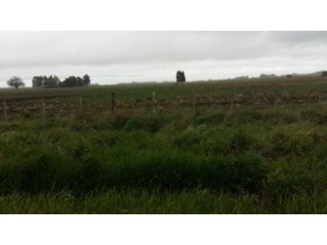 VENDO O PERMUTO 40 HECTAREAS DE CAMPO UNICAS EN BALCARCE