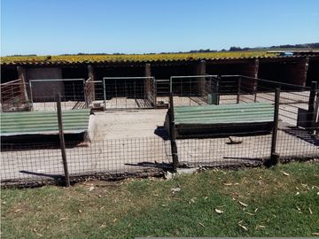 VENDO O PERMUTO 40 HECTAREAS DE CAMPO UNICAS EN BALCARCE