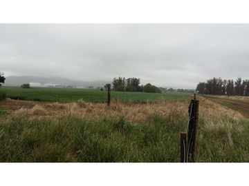 VENDO O PERMUTO 40 HECTAREAS DE CAMPO UNICAS EN BALCARCE