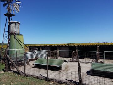 VENDO O PERMUTO 40 HECTAREAS DE CAMPO UNICAS EN BALCARCE