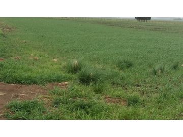 VENDO O PERMUTO 40 HECTAREAS DE CAMPO UNICAS EN BALCARCE