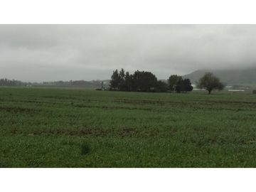 VENDO O PERMUTO 40 HECTAREAS DE CAMPO UNICAS EN BALCARCE