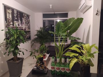 apartamento en venta en villa campestre. Cod V104381