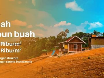 Tanah Kavling Kebun estetik dekat dengan Ibukota