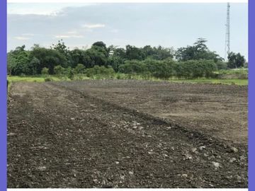 Kavling Selatan Stasiun Delanggu; Murah, SHM