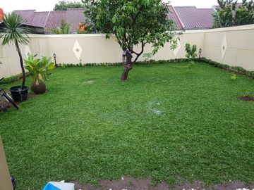 Rumah Asri Sejuk Dan Tenang Siap Huni Di Cinangka Sawangan Depok