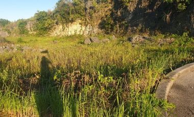 166 SQM Residential Lot for Sale in Aspen Heights Consolacion Cebu with Mountain View