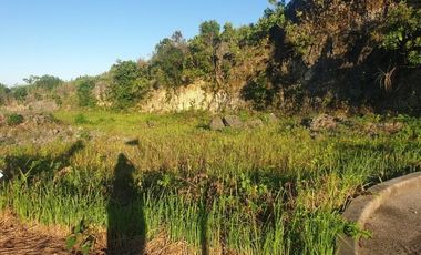 166 SQM Residential Lot for Sale in Aspen Heights Consolacion Cebu with Mountain View