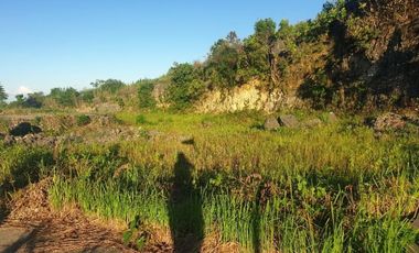 166 SQM Residential Lot for Sale in Aspen Heights Consolacion Cebu with Mountain View