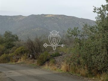 Oportunidad Única para Invertir Parcela en Lo Caña, 1 Has