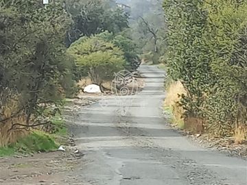 Oportunidad Única para Invertir Parcela en Lo Caña, 1 Has