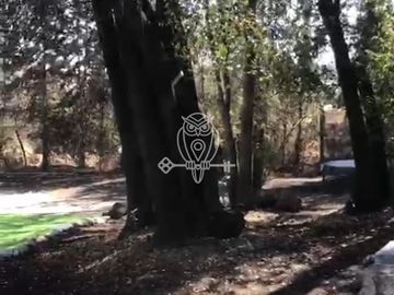Oportunidad Única para Invertir Parcela en Lo Caña, 1 Has