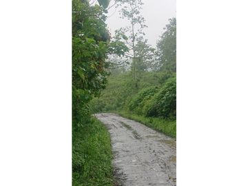Se Vende 357 Has De Hacienda Productiva Quinindé
