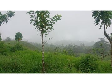 Se Vende 357 Has De Hacienda Productiva Quinindé