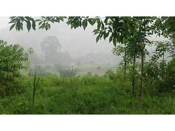 Se Vende 357 Has De Hacienda Productiva Quinindé
