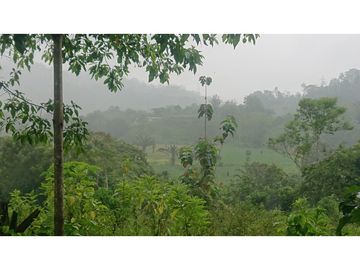 Se Vende 357 Has De Hacienda Productiva Quinindé