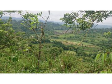 Se Vende 357 Has De Hacienda Productiva Quinindé