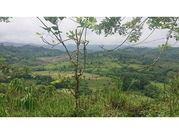 Se Vende 357 Has De Hacienda Productiva Quinindé