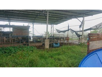 Se Vende 357 Has De Hacienda Productiva Quinindé