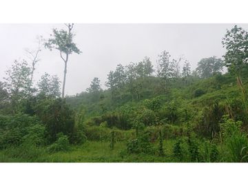 Se Vende 357 Has De Hacienda Productiva Quinindé