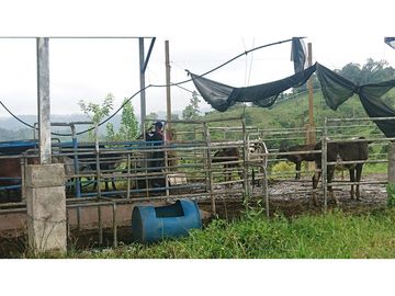 Se Vende 357 Has De Hacienda Productiva Quinindé