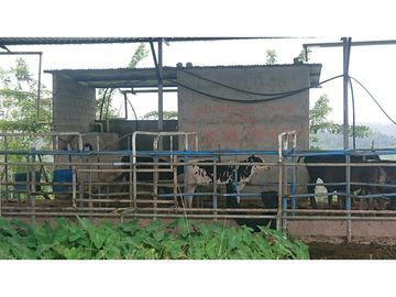 Se Vende 357 Has De Hacienda Productiva Quinindé