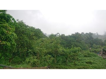 Se Vende 357 Has De Hacienda Productiva Quinindé