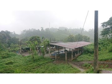 Se Vende 357 Has De Hacienda Productiva Quinindé