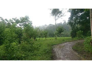 Se Vende 357 Has De Hacienda Productiva Quinindé