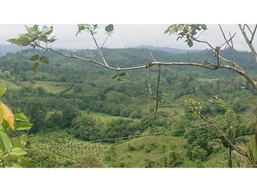 Se Vende 357 Has De Hacienda Productiva Quinindé