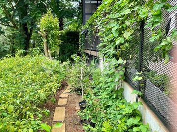 Dijual Rumah Cantik dan Eksklusif Dide Latinos BSD