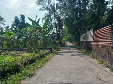 Hunian Klasik Strategis Hanya 800meter Dari Calon Tol