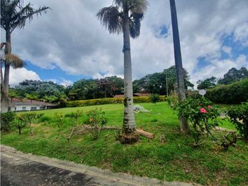 SE VENDE FINCA PRODUCTIVA VEREDA ENTRE FILANDIA - QUIMBAYA
