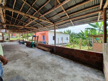 SE VENDE FINCA PRODUCTIVA VEREDA ENTRE FILANDIA - QUIMBAYA