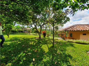 SE VENDE FINCA PRODUCTIVA VEREDA ENTRE FILANDIA - QUIMBAYA