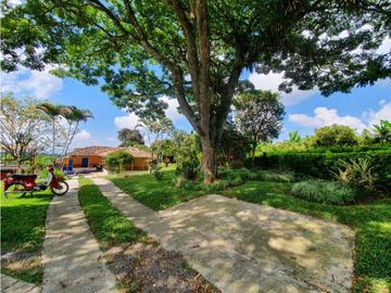 SE VENDE FINCA PRODUCTIVA VEREDA ENTRE FILANDIA - QUIMBAYA