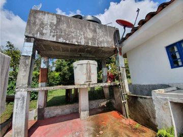 SE VENDE FINCA PRODUCTIVA VEREDA ENTRE FILANDIA - QUIMBAYA