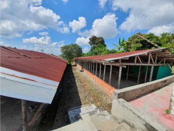 SE VENDE FINCA PRODUCTIVA VEREDA ENTRE FILANDIA - QUIMBAYA