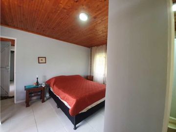 SE VENDE FINCA PRODUCTIVA VEREDA ENTRE FILANDIA - QUIMBAYA