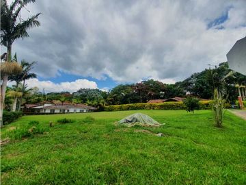 SE VENDE FINCA PRODUCTIVA VEREDA ENTRE FILANDIA - QUIMBAYA